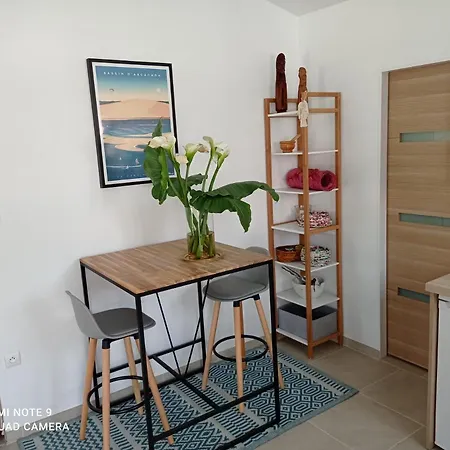 公寓 Studio Gujan-Mestras