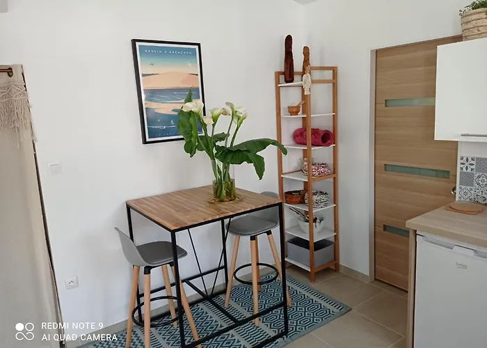 Апартаменты Studio Gujan-Mestras